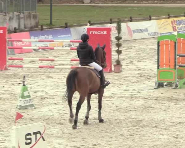 Reitturnier Westergellersen 2021