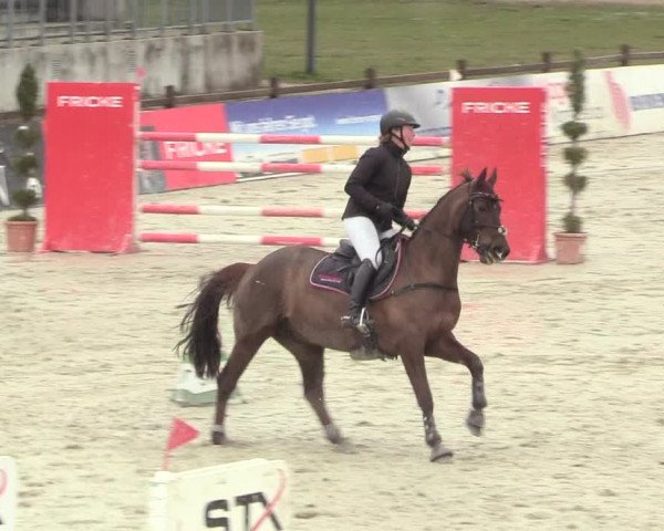 Reitturnier Westergellersen 2021