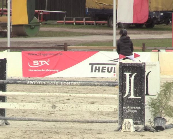 Reitturnier Westergellersen 2021