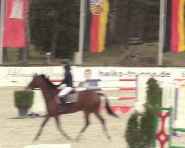 Reitturnier Westergellersen 2021
