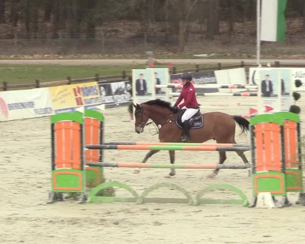 Reitturnier Westergellersen 2021