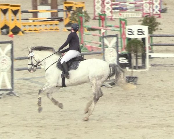 Reitturnier Westergellersen 2021