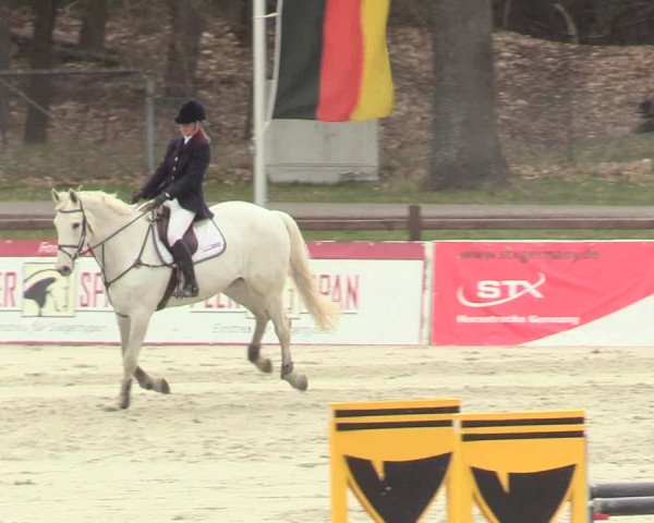 Reitturnier Westergellersen 2021