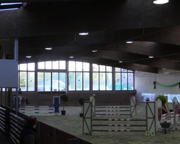 jumper Chanett 2 (Westphalian, 2010, from Careras)