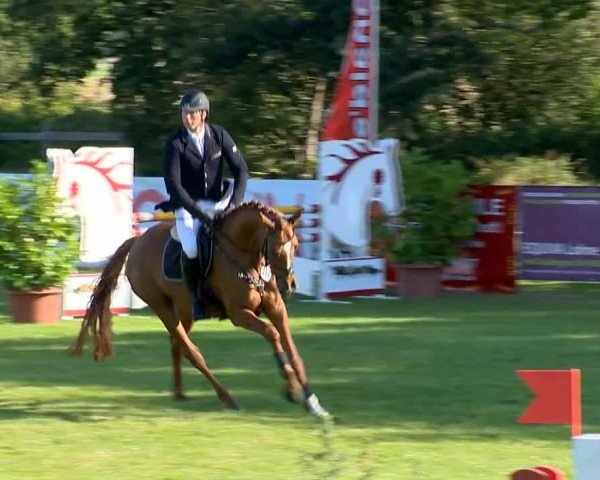 broodmare Contenance xx (Thoroughbred, 1973, from Luciano xx)