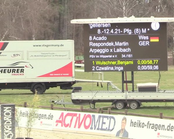 Reitturnier Westergellersen 2021