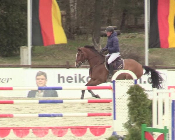 Reitturnier Westergellersen 2021