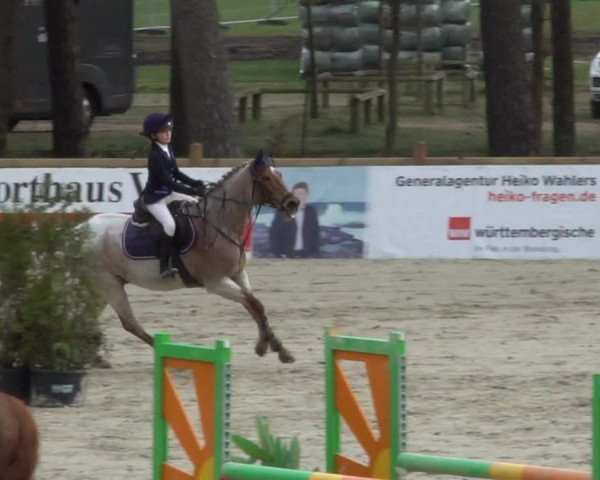 Reitturnier Westergellersen 2021