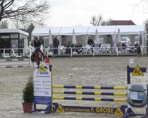 Springpferd Cadeau B (Westfale, 2001, von Collin L)