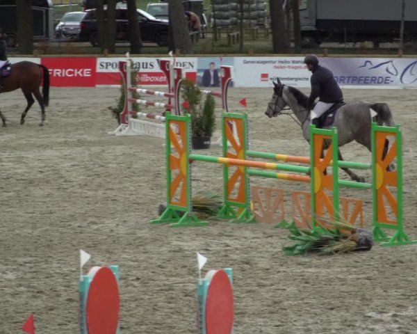 Reitturnier Westergellersen 2021