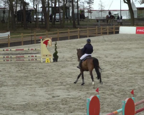 Reitturnier Westergellersen 2021
