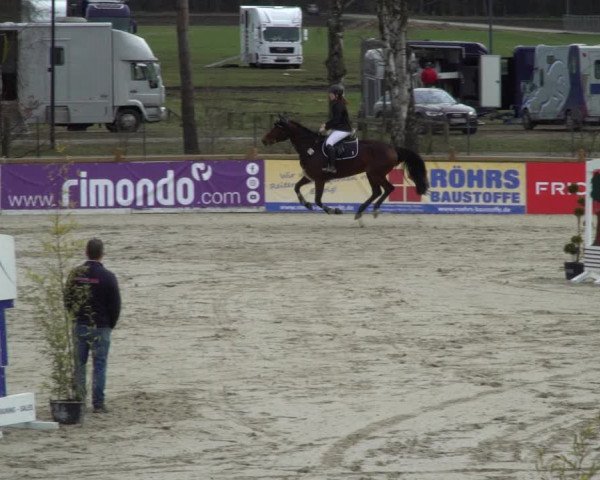 Reitturnier Westergellersen 2021