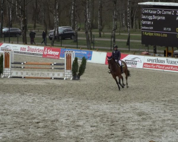 Reitturnier Westergellersen 2021