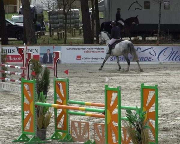 Reitturnier Westergellersen 2021