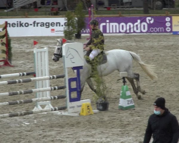 Reitturnier Westergellersen 2021