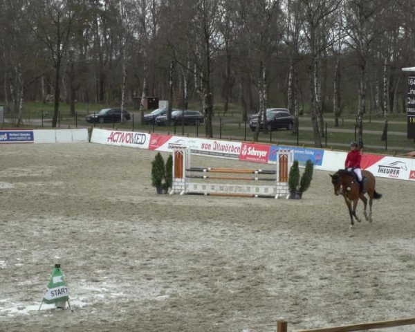 Reitturnier Westergellersen 2021