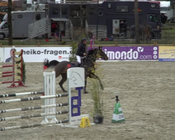 Reitturnier Westergellersen 2021