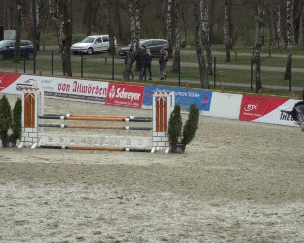 Reitturnier Westergellersen 2021