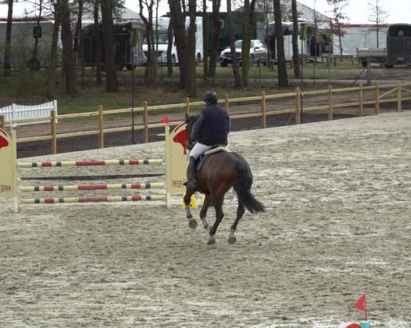 Reitturnier Westergellersen 2021
