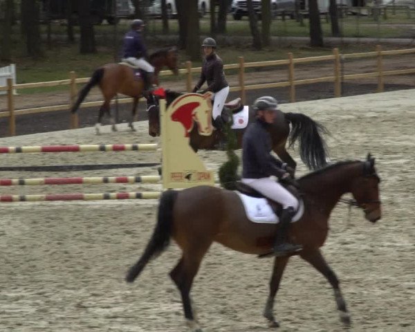 Reitturnier Westergellersen 2021