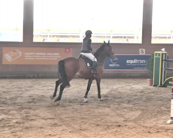 Reitturnier Gut Winkelacker/Obb. 2021