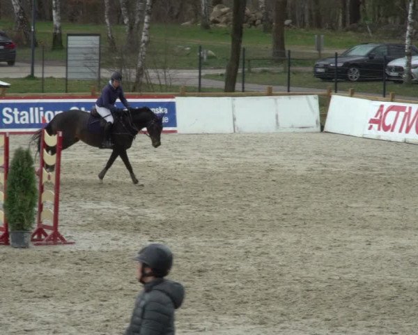 Reitturnier Westergellersen 2021