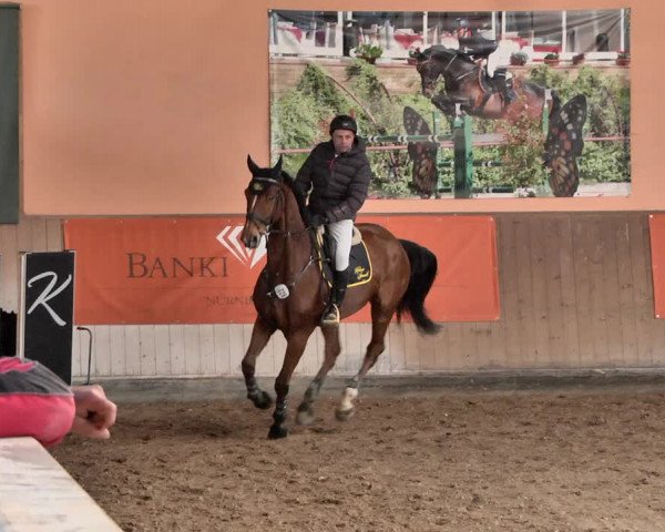 Reitturnier Gut Winkelacker/Obb. 2021