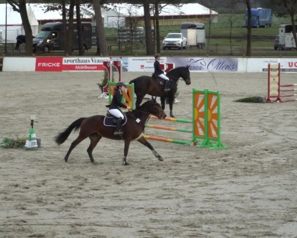 Reitturnier Westergellersen 2021