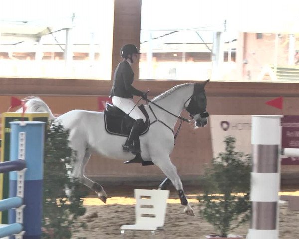 Reitturnier Gut Winkelacker/Obb. 2021