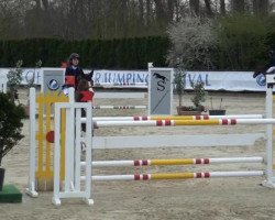 jumper Grace 368 (Hanoverian, 2006, from Graf Top)