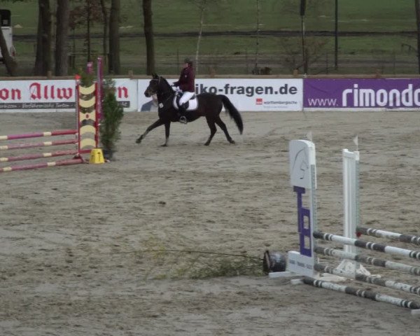 Reitturnier Westergellersen 2021