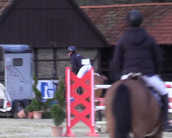 Reitturnier Münster-Handorf 2021