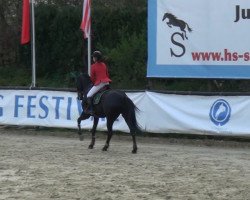 jumper Rahmannshof Black Pearl (Hanoverian, 2008, from Count Grannus)