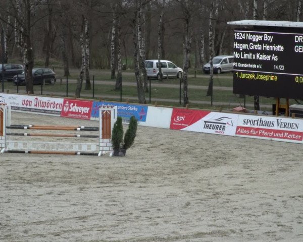 Reitturnier Westergellersen 2021