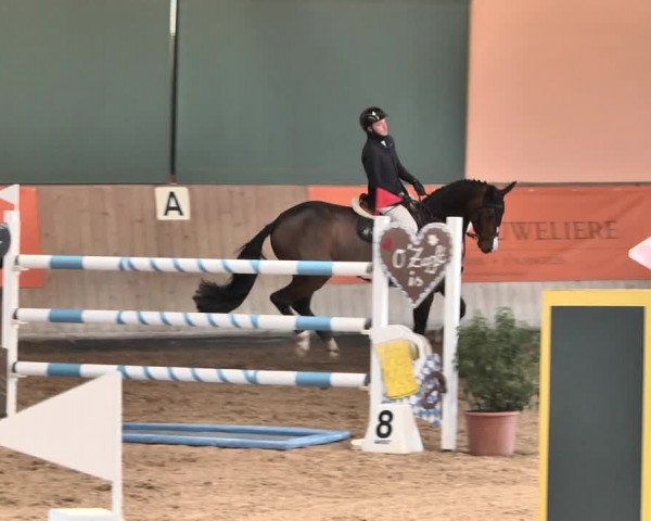 Reitturnier Gut Winkelacker/Obb. 2021