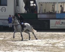 Pferd Cassioato (unbekannt, 2005)