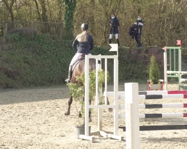 Reitturnier Nordheim-Wattenheim 2021