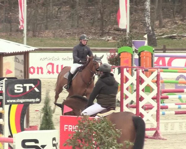 Reitturnier Westergellersen 2021