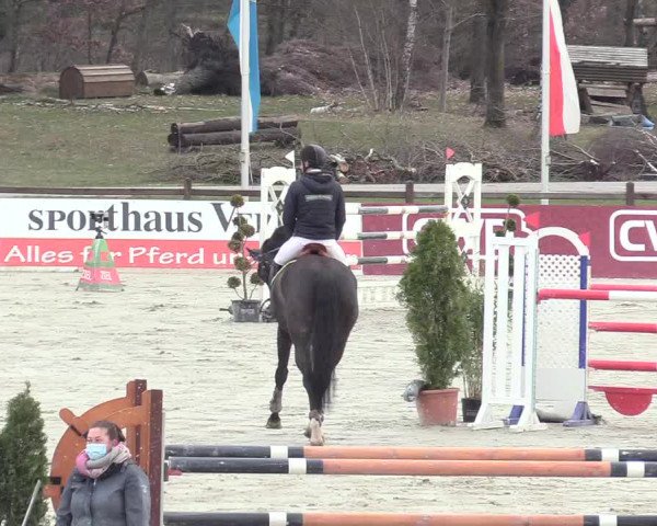 Reitturnier Westergellersen 2021