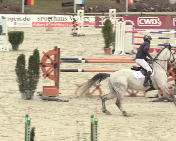 Reitturnier Westergellersen 2021
