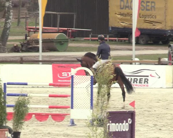 Reitturnier Westergellersen 2021