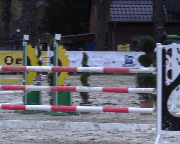Reitturnier Münster-Handorf 2021