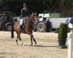 jumper Sirocco du Lys (Selle Français, 2006, from Grand Rivage)