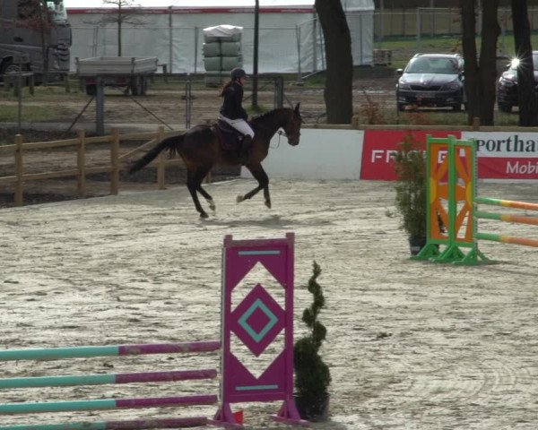Reitturnier Westergellersen 2021