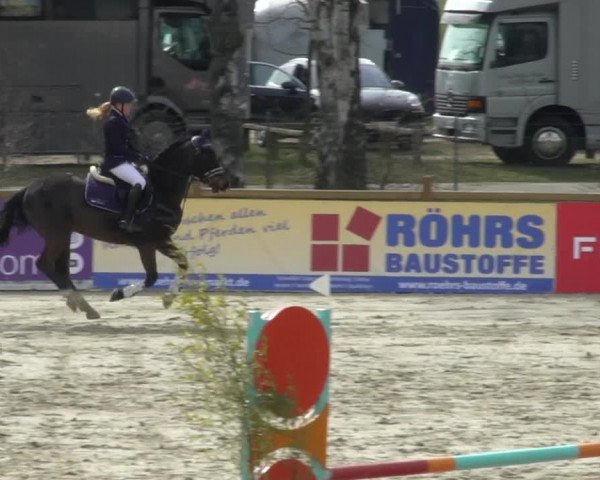 Reitturnier Westergellersen 2021