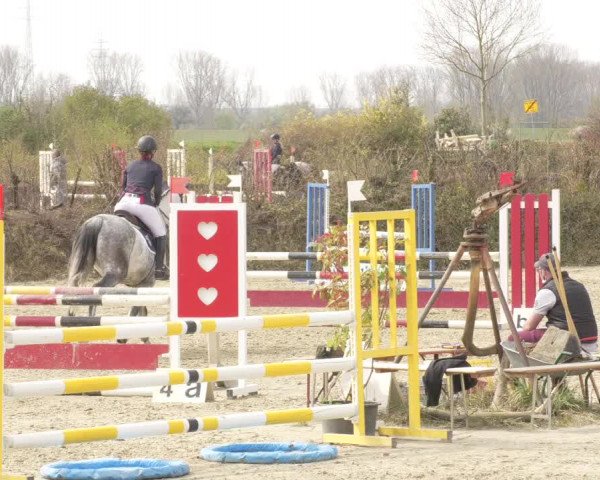 Reitturnier Nordheim-Wattenheim 2021