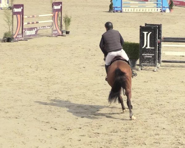 Reitturnier Westergellersen 2021
