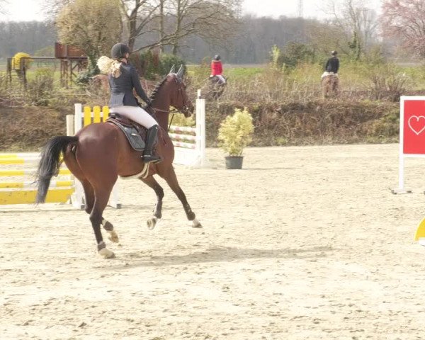 Reitturnier Nordheim-Wattenheim 2021
