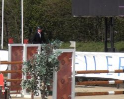 jumper Paloufina (Westphalian, 2008, from Hh Palouchin)