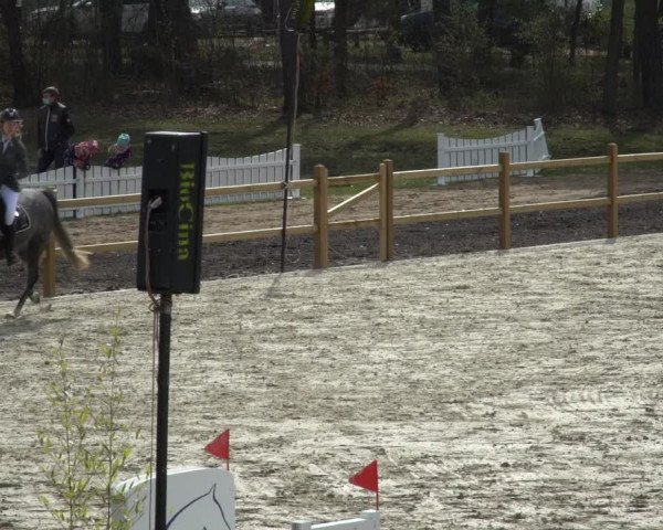 Reitturnier Westergellersen 2021